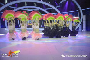 舞韻綻芳華，星光啟航藝術培訓學校攜《陌上花開》亮相四川廣播電視臺超級新秀場